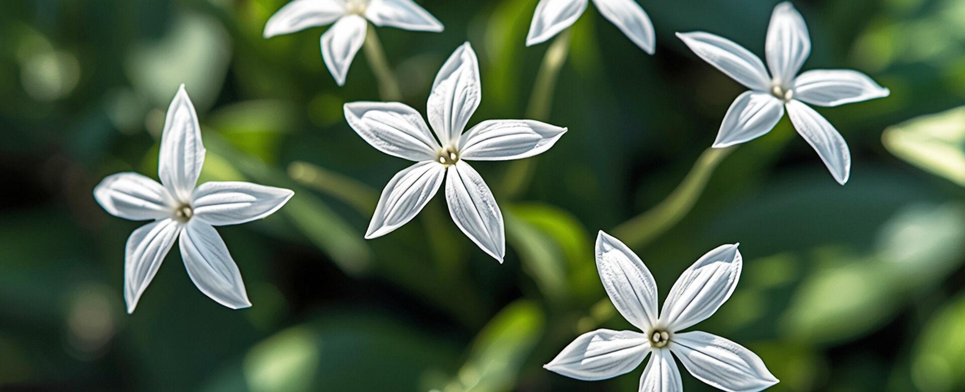 Consultez nos temoignage