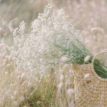 realisation de Paul MARTIN